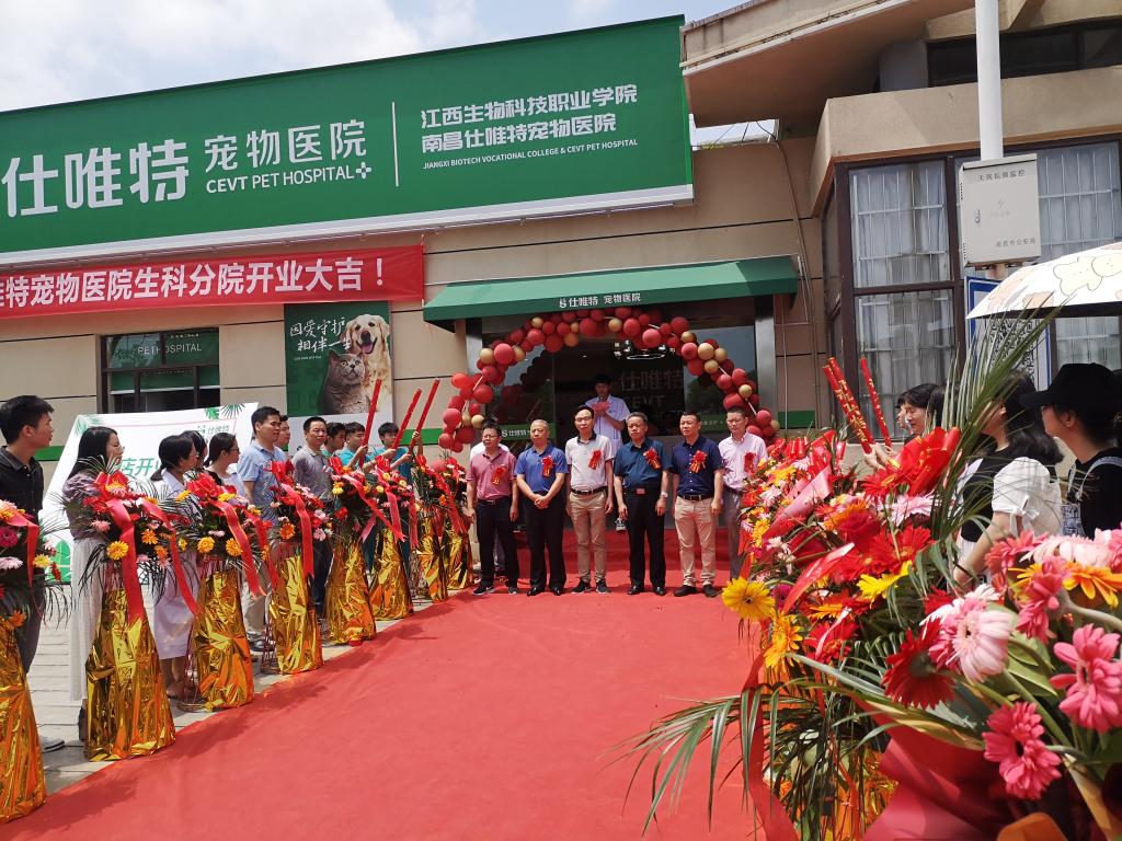  尼斯与当地医院合作，推出球员心理健康保障计划  